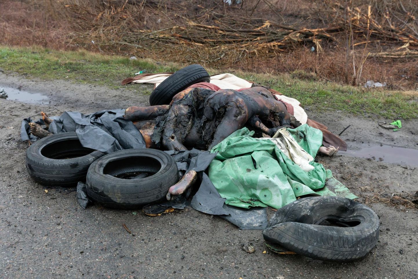 Vene sõdurite poolt vägistatud, tapetud ja põlema pandud ukrainlannade laibad Kiievisse viiva maantee ääres. 