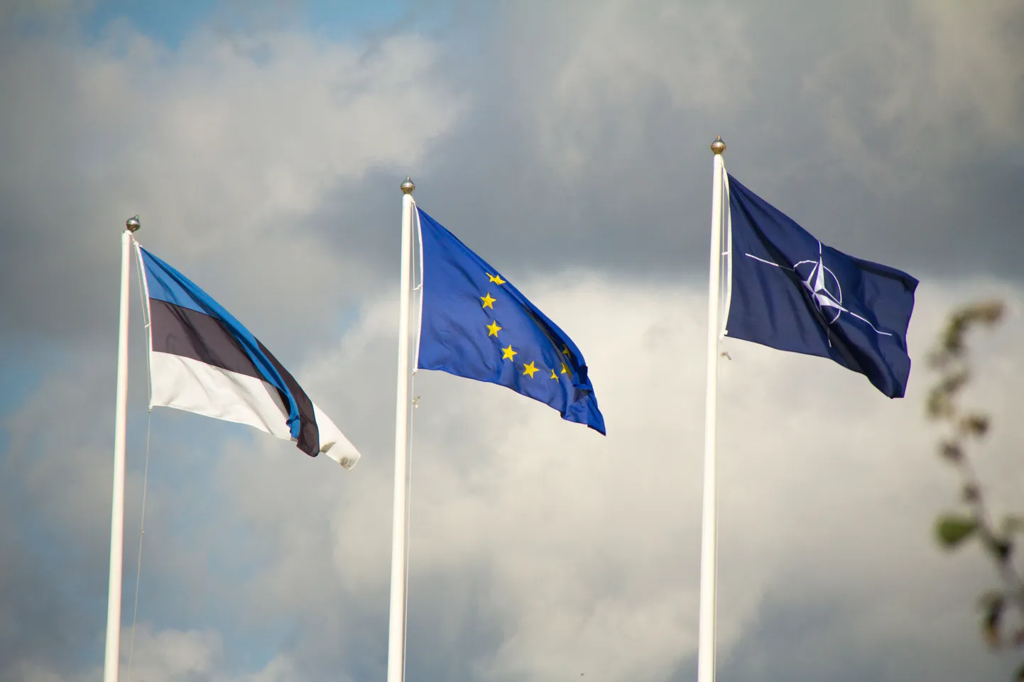 Флаги Эстонии, ЕС и НАТО.