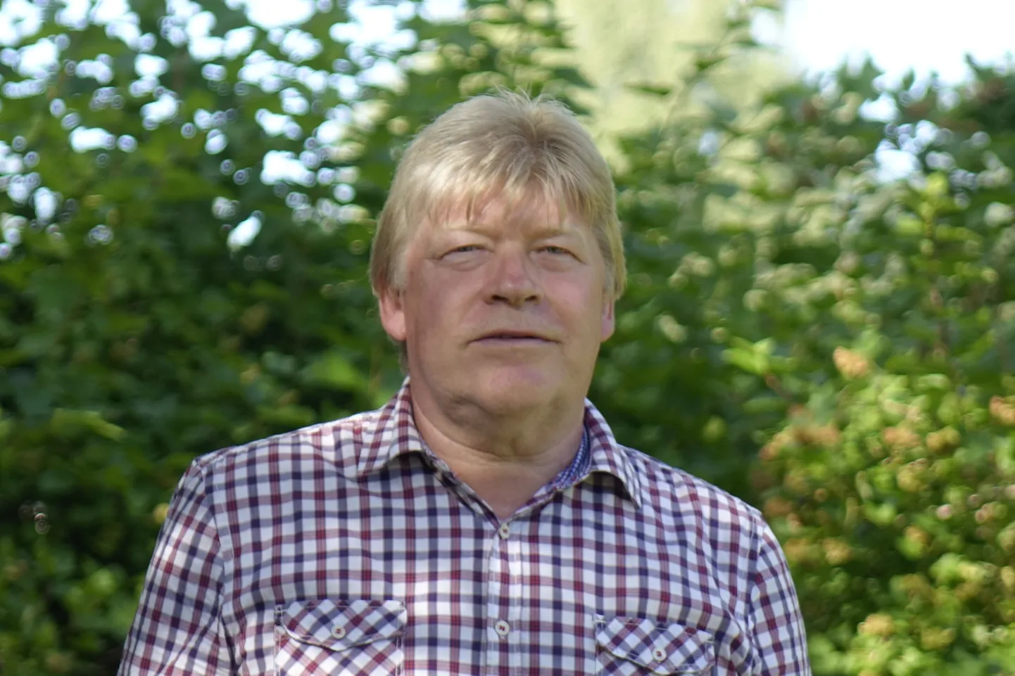 Vello Saar