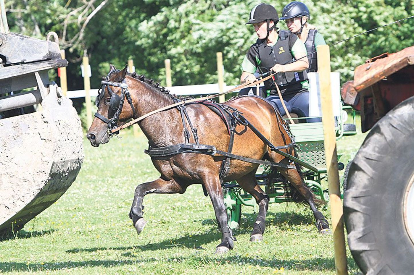 Riina Rõa võitis hobusega Grelli ja abilise Ave Kuusemetsaga Reiu rakendispordivõistluse.