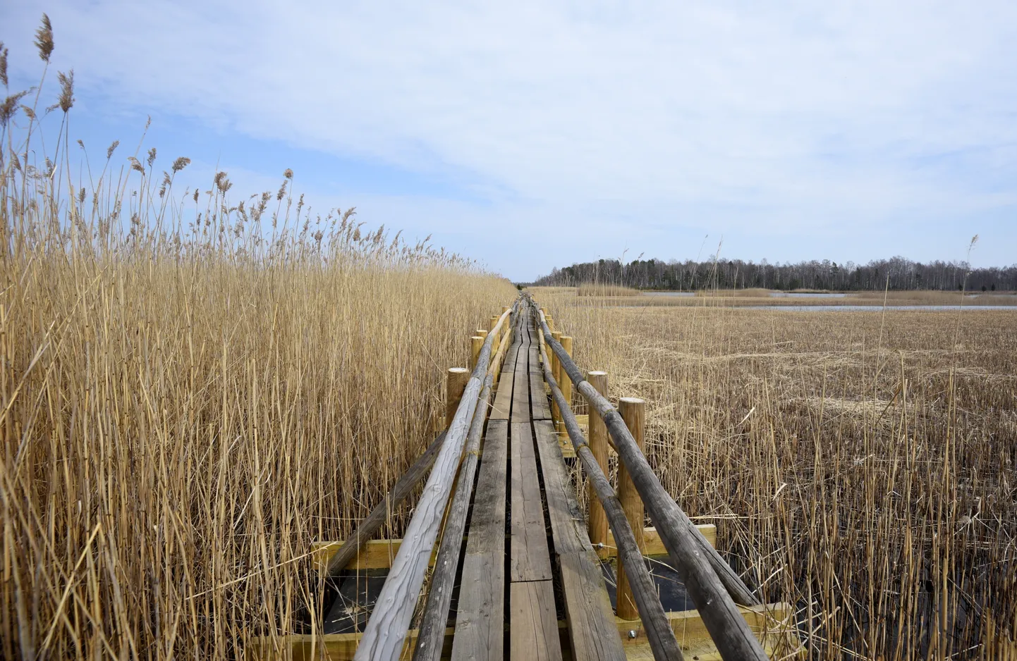 Kaņiera niedrāja taka.