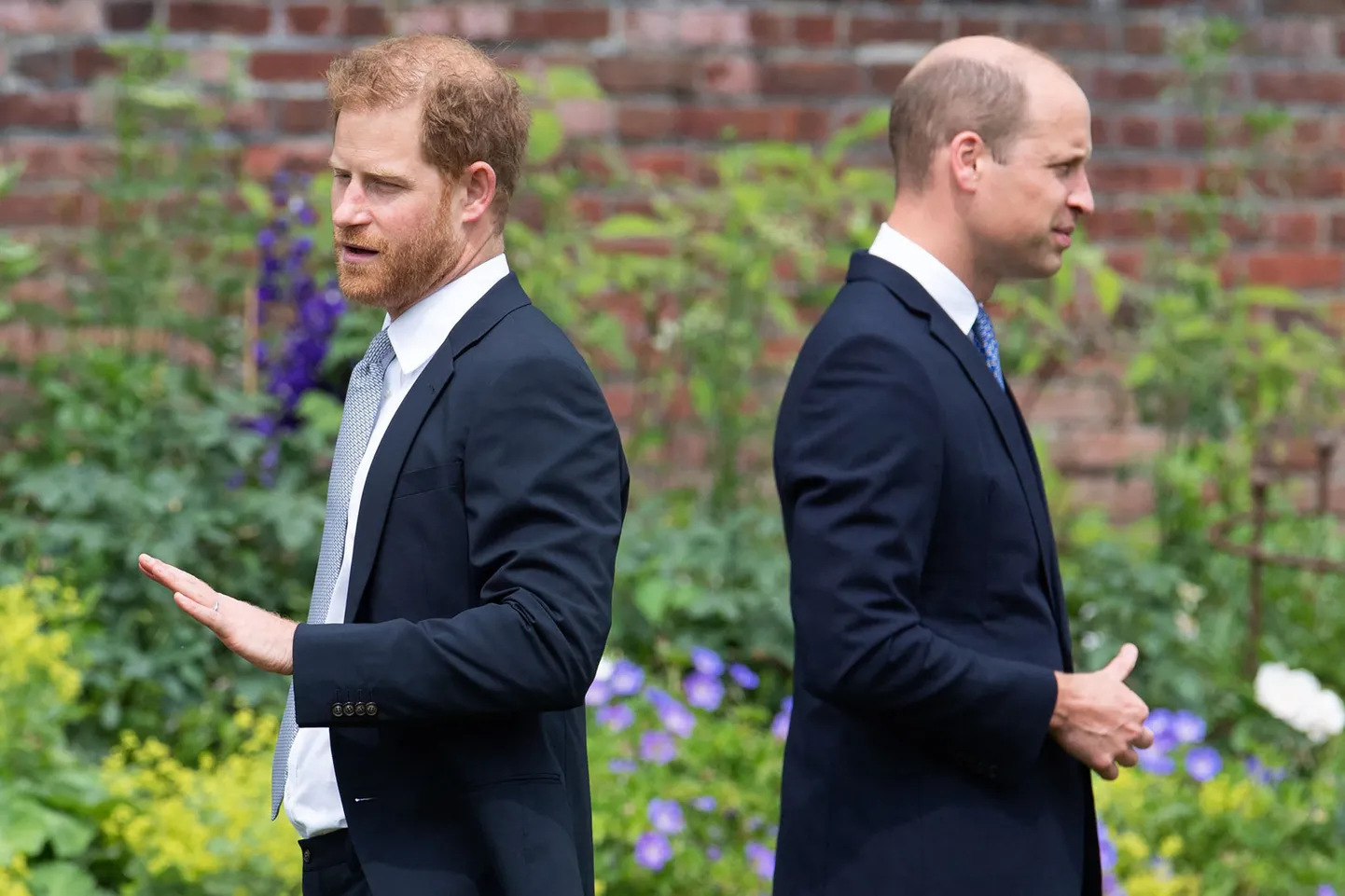 Harry ja Williami omavaheline suhe on mitu aastat habras olnud