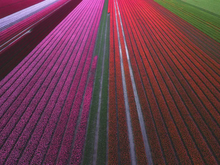 Artikli foto