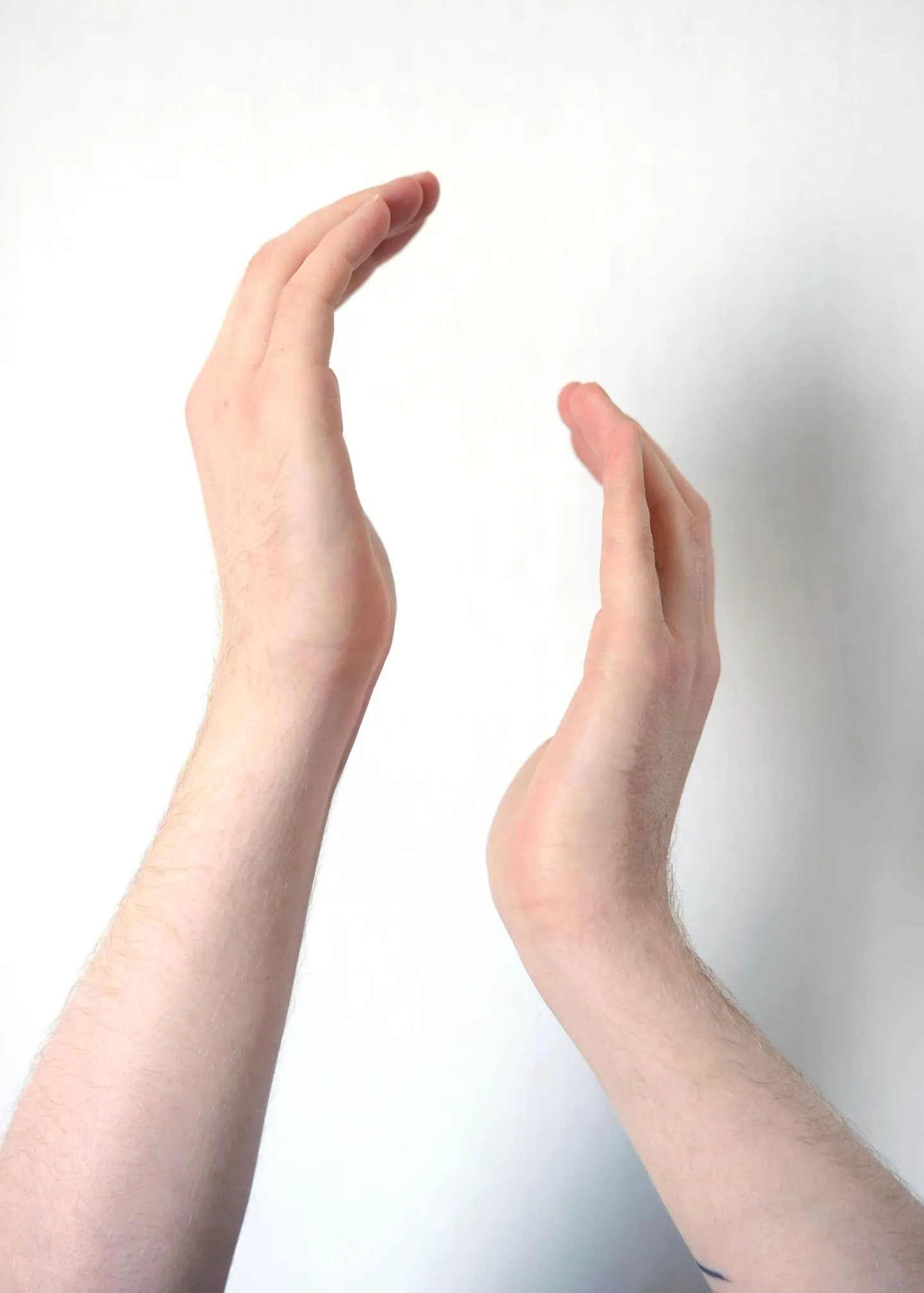 Inimkäed