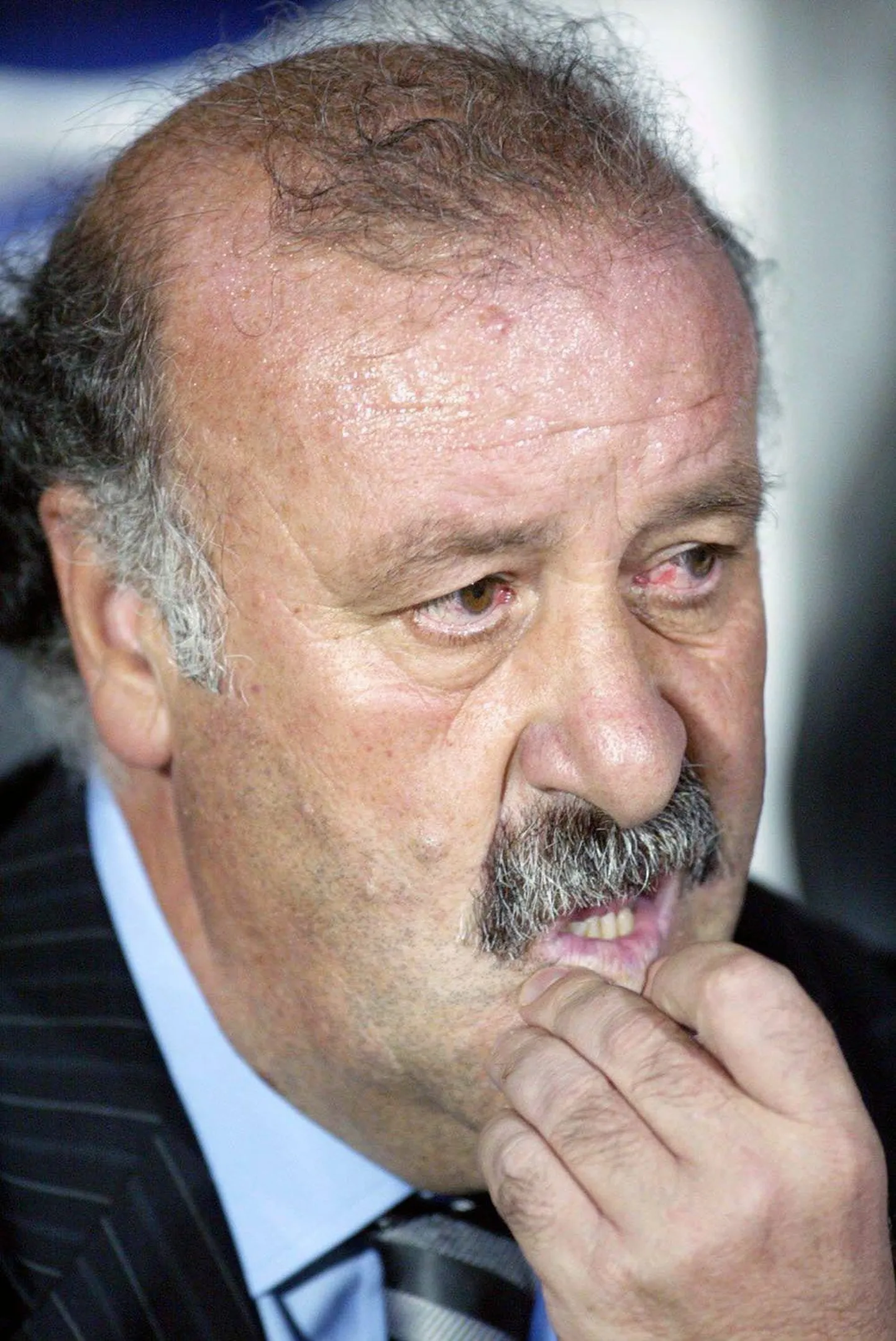 Vicente del Bosque