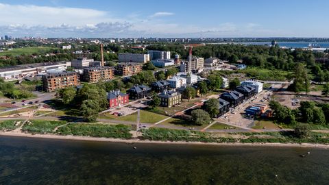 KASPAR KALJURAND ⟩ Kas nüüd jäävadki lasteaiad ja koolid rajamata? Vald ja arendaja saavad jõuda kokkuleppele
