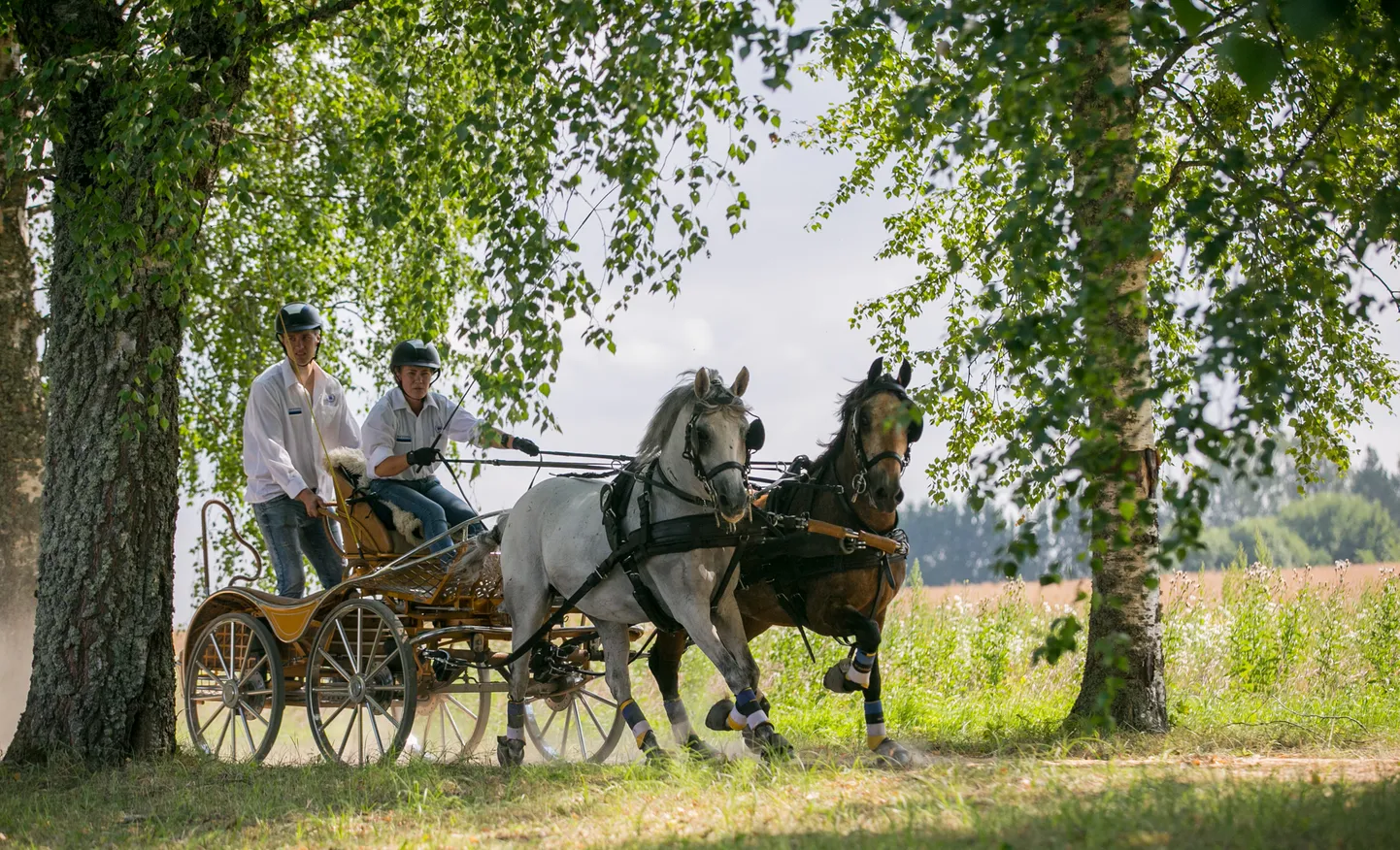Olustvere võistlusel osales ponide paarisrakendiga ka Euroopas treeniv Pille-Riin Roosileht.