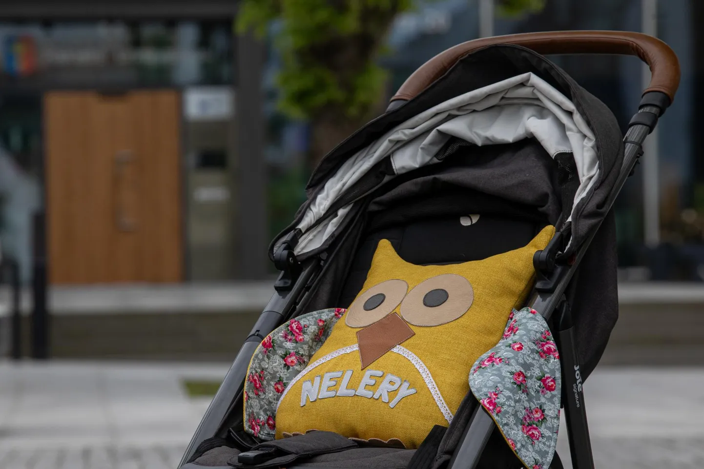 Nelery ema tunnistas, et kahetseb lapse sünni registreerimist Rakvere linnavalitsuse perekonnaseisuametis.