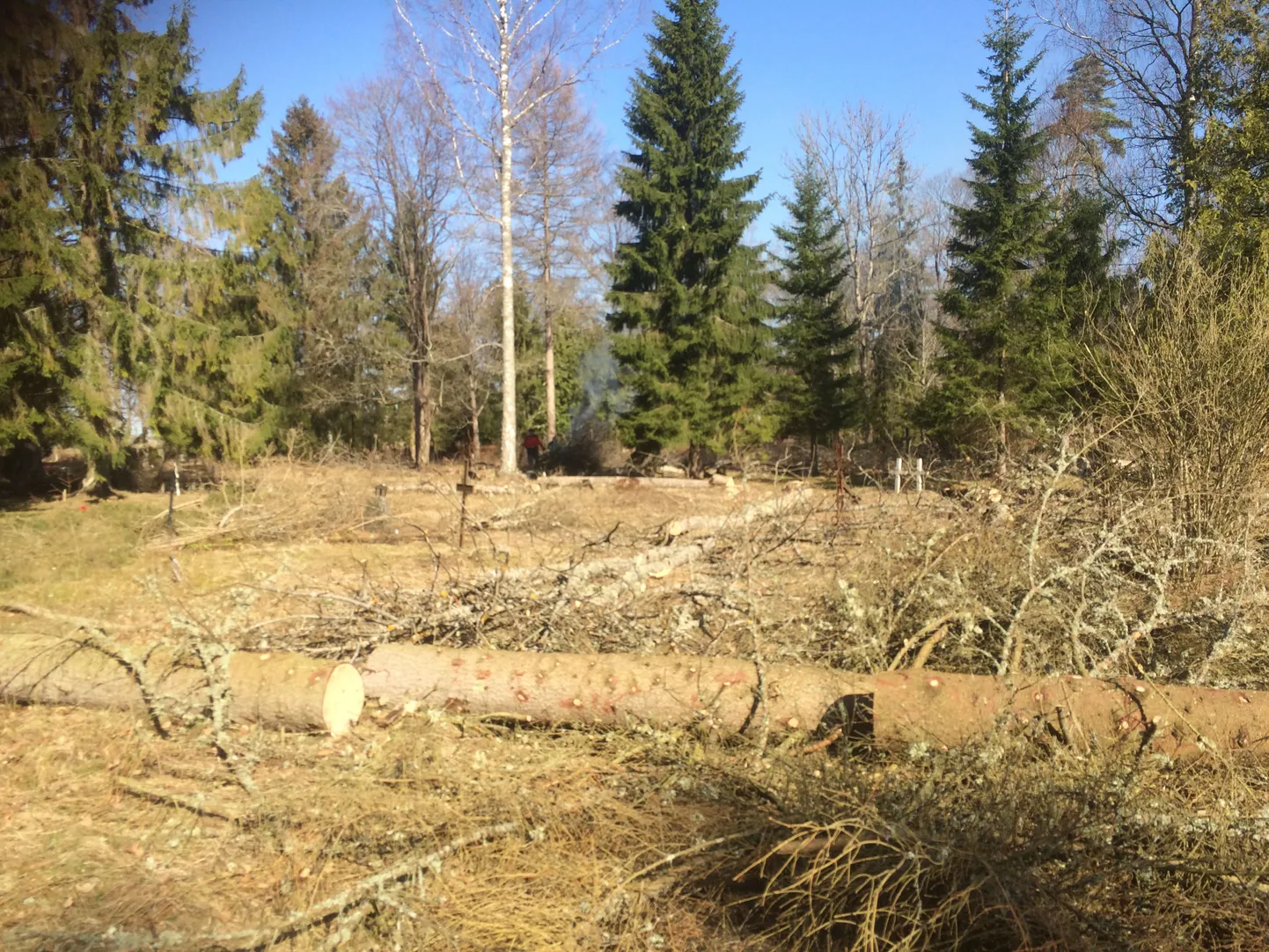 Talgud Järva-Madise kalmistul 2015