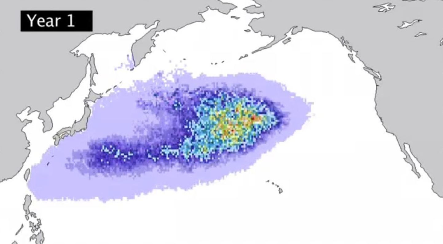USA ranniku suunas liigub Jaapanist pärit tsunamiprügi