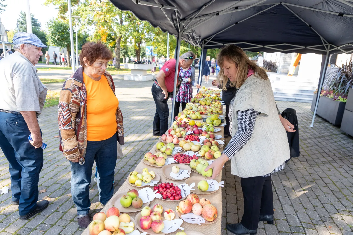 Õunafestival