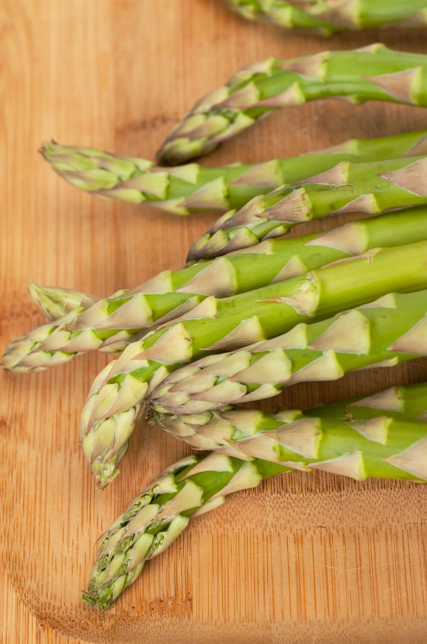 Spargel