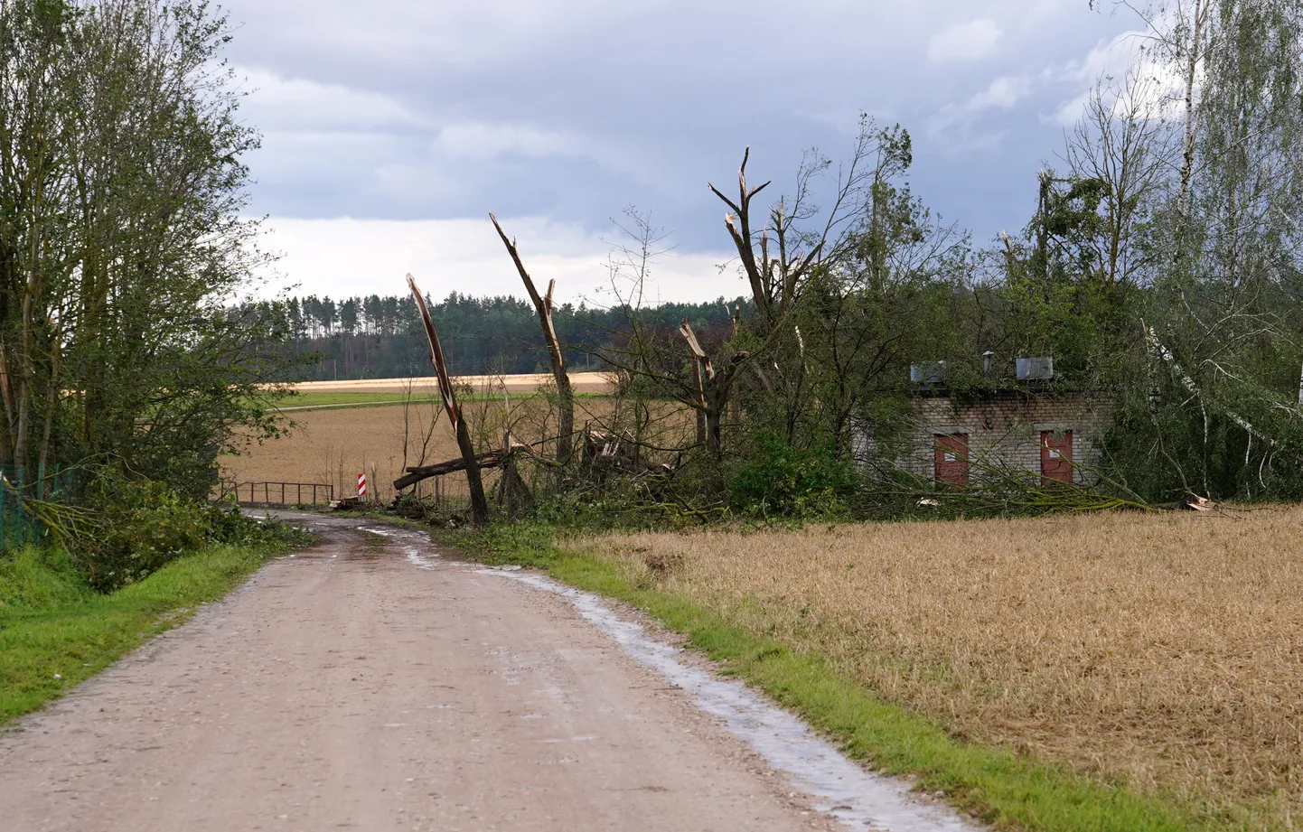 Raksta foto