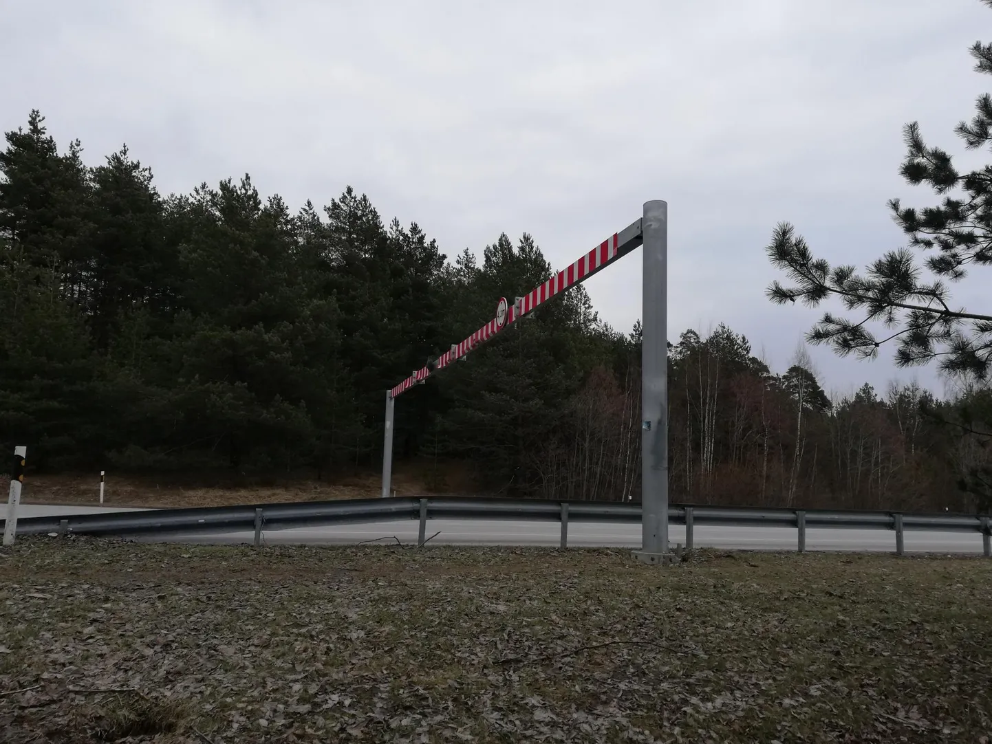 Papiniidu silla kõrguspiire suunaga Tammiste poole.