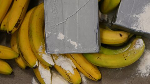 VIDEO ⟩ Itaalia konfiskeeris banaanisaadetisest 250 miljoni euro väärtuses kokaiini