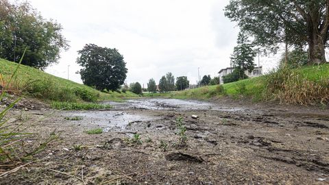 Tobia peakraavis voolab mudases sängis vaid väike nire, põhjust muretsemiseks pole