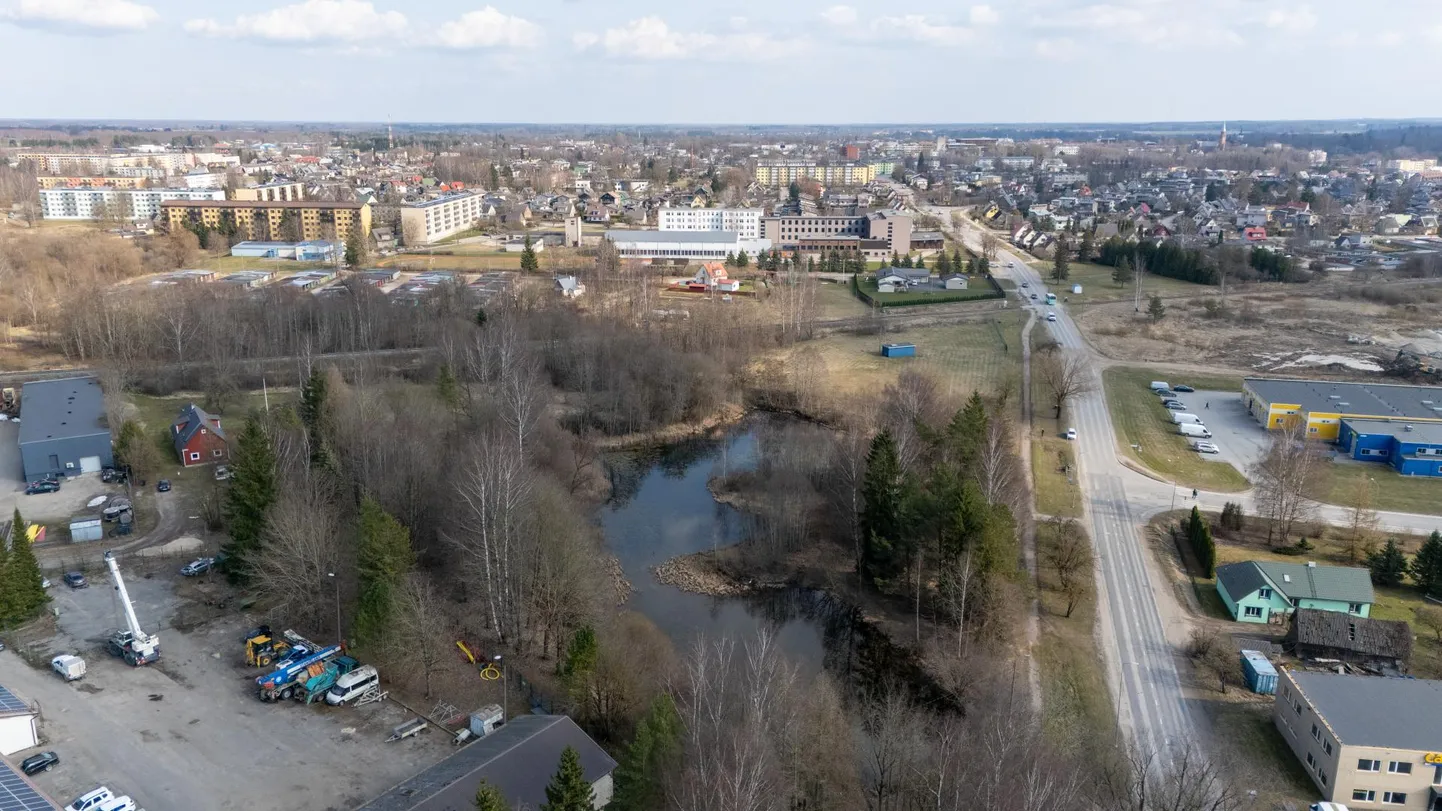 Tomuski tiik paikneb Viljandi valla territooriumil ligi 16 000 ruutmeetri suurusel kinnistul ja külgneb osaliselt linna piiriga. Vallavõim soovib kinnistu maha müüa.