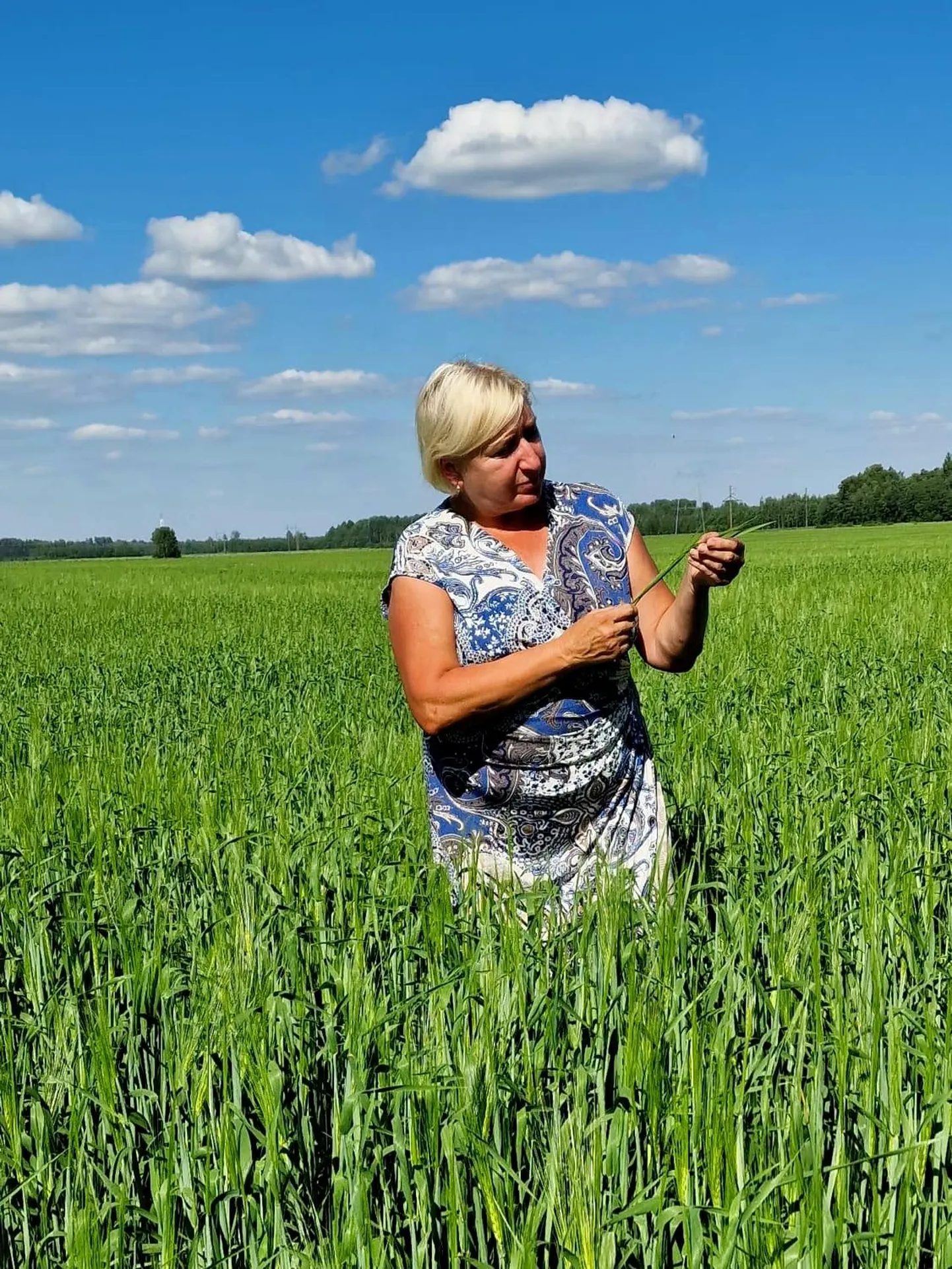 Katrin Tiimann on OÜ Selja ja Piistaoja katsetalu taimekasvatusjuht olnud 2011. aastast ja põllumajanduses töötanud 1985. aastast.