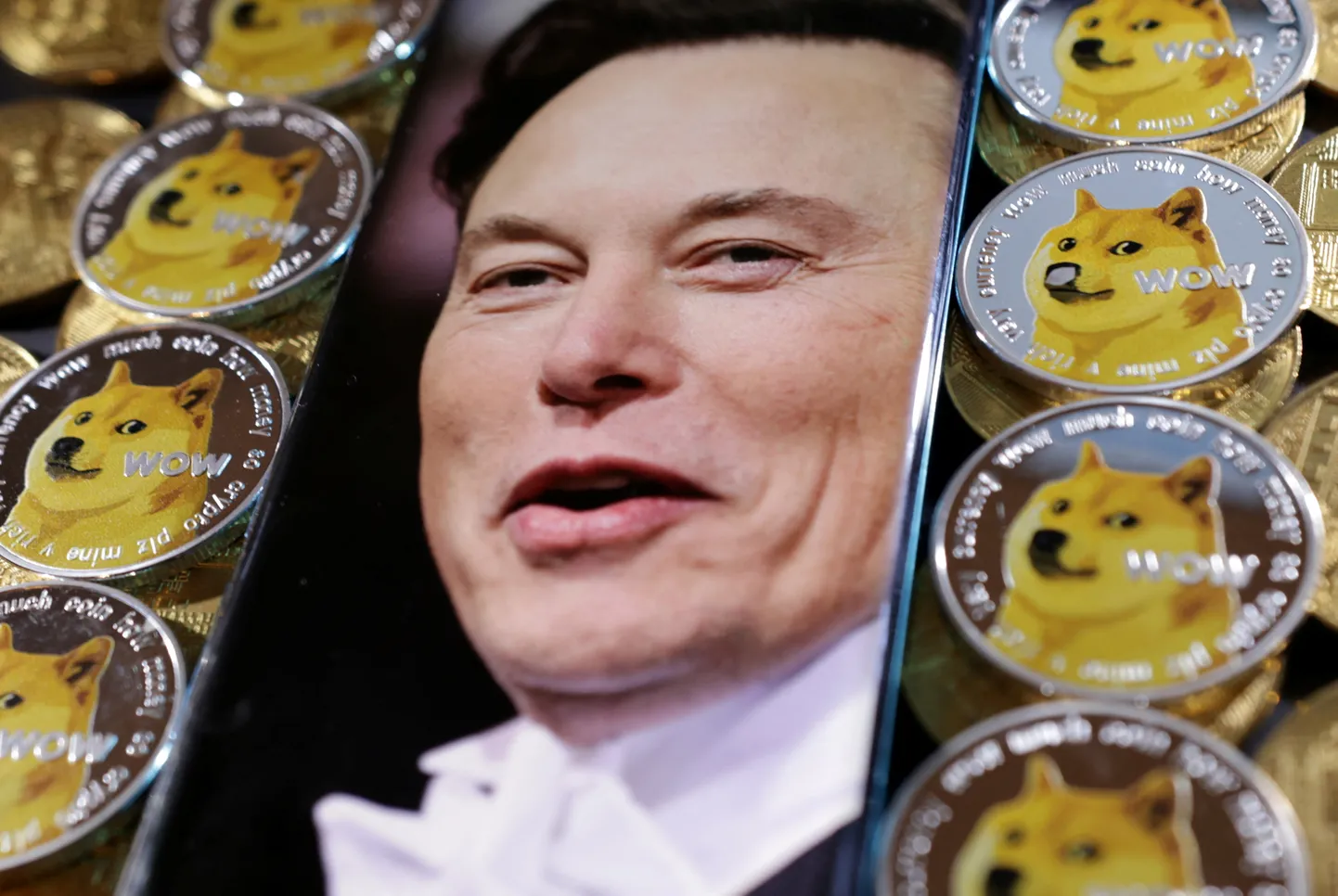 Elon Musk ja dogecoin.
