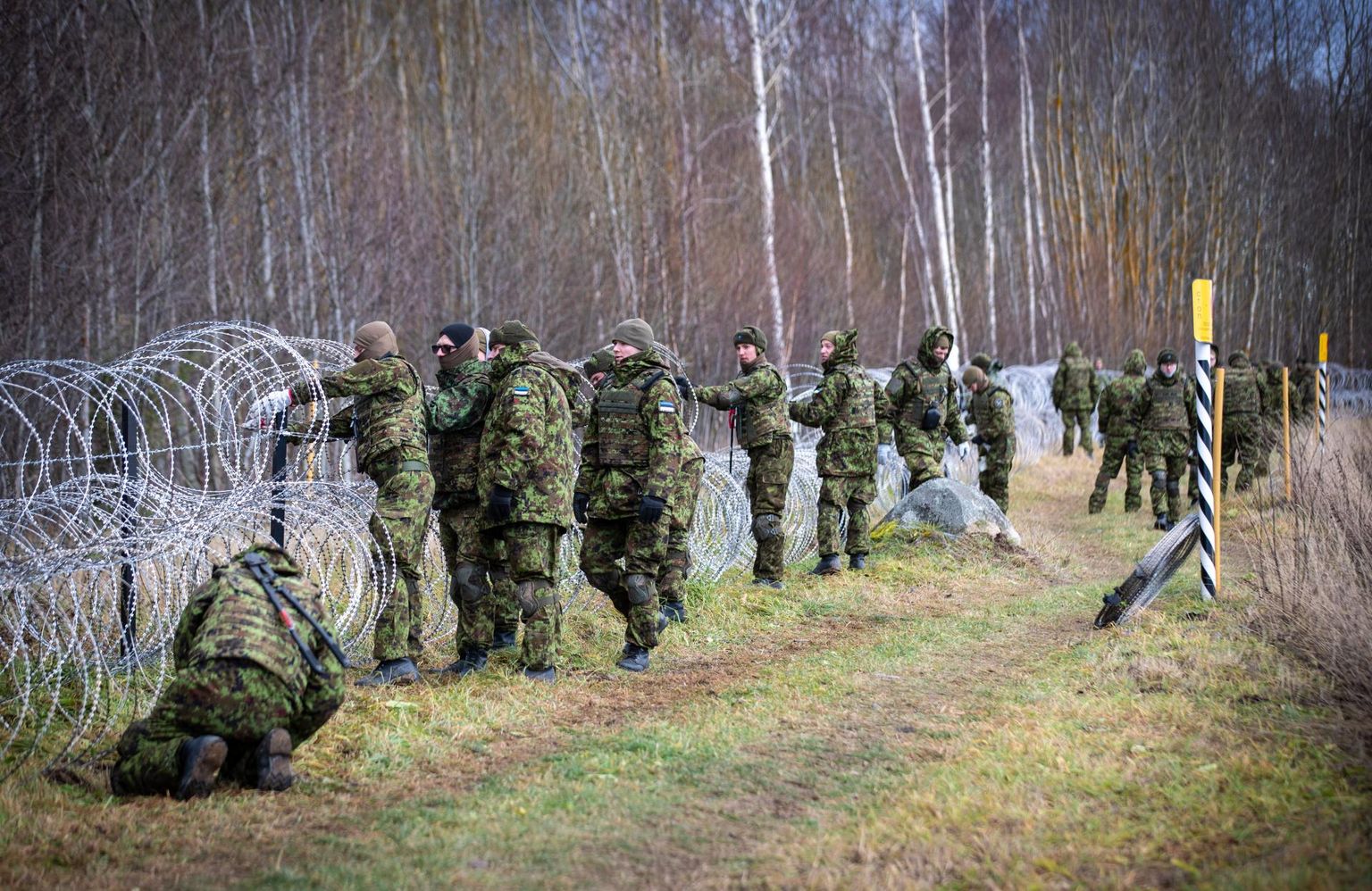 Установка колючей ленты на эстонско-российской границе.