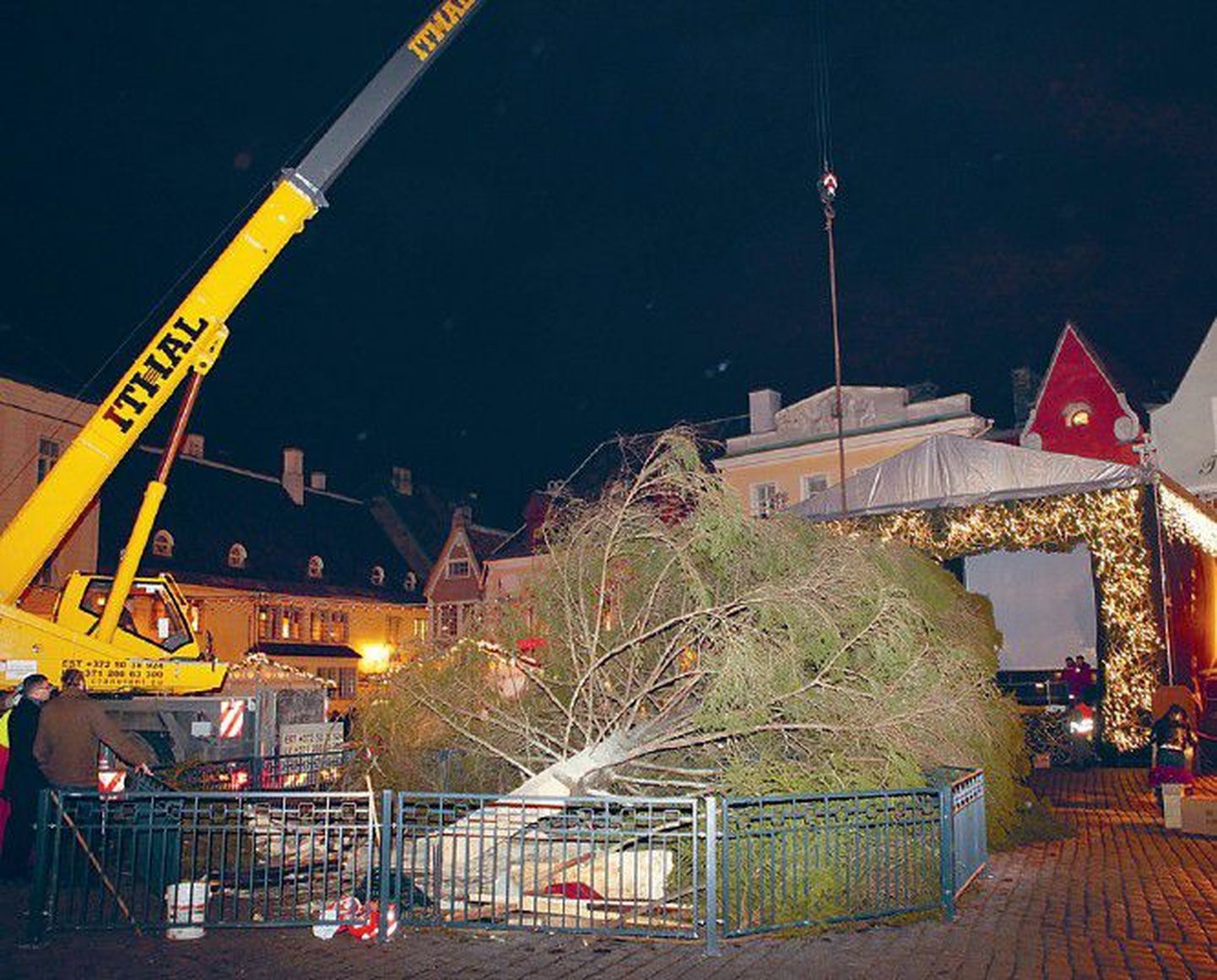 Начало адвента в Таллинне было омрачено падением рождественской ели на Ратушной площади. Сейчас елка, потерявшая треть своей высоты, красуется на площади в центре рождественского рынка.