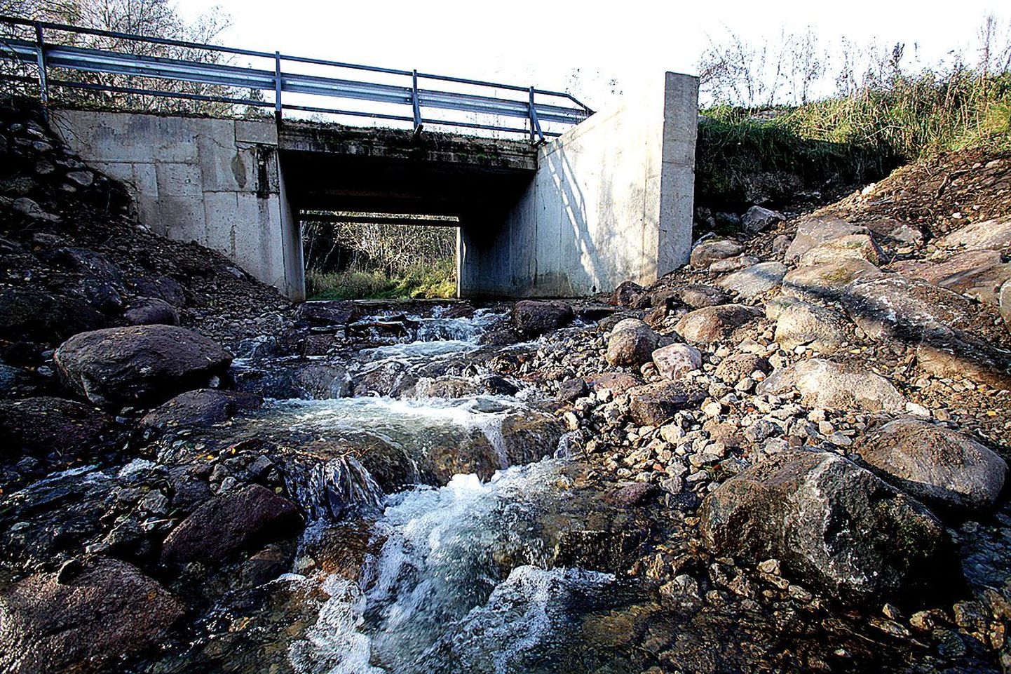 Nuti silla alla lasi Forellisõprade MTÜ rajada kalapääsla, et uimelised pääseksid Peeda jõe ülemjooksul asuvatesse kudemispaikadesse.