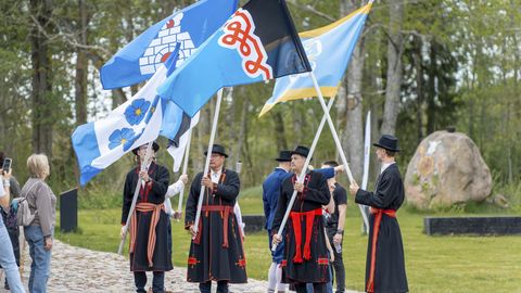 Mulgi nädal algas piduliku lipuheiskamisega