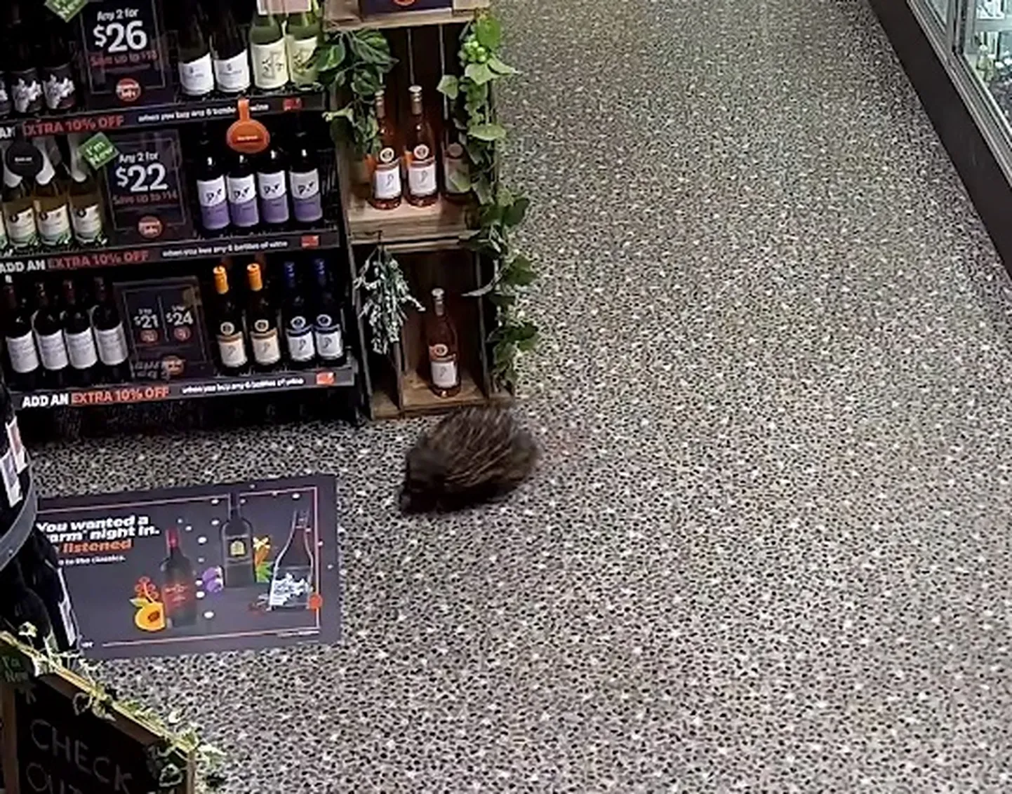 Kuvatõmmis videost