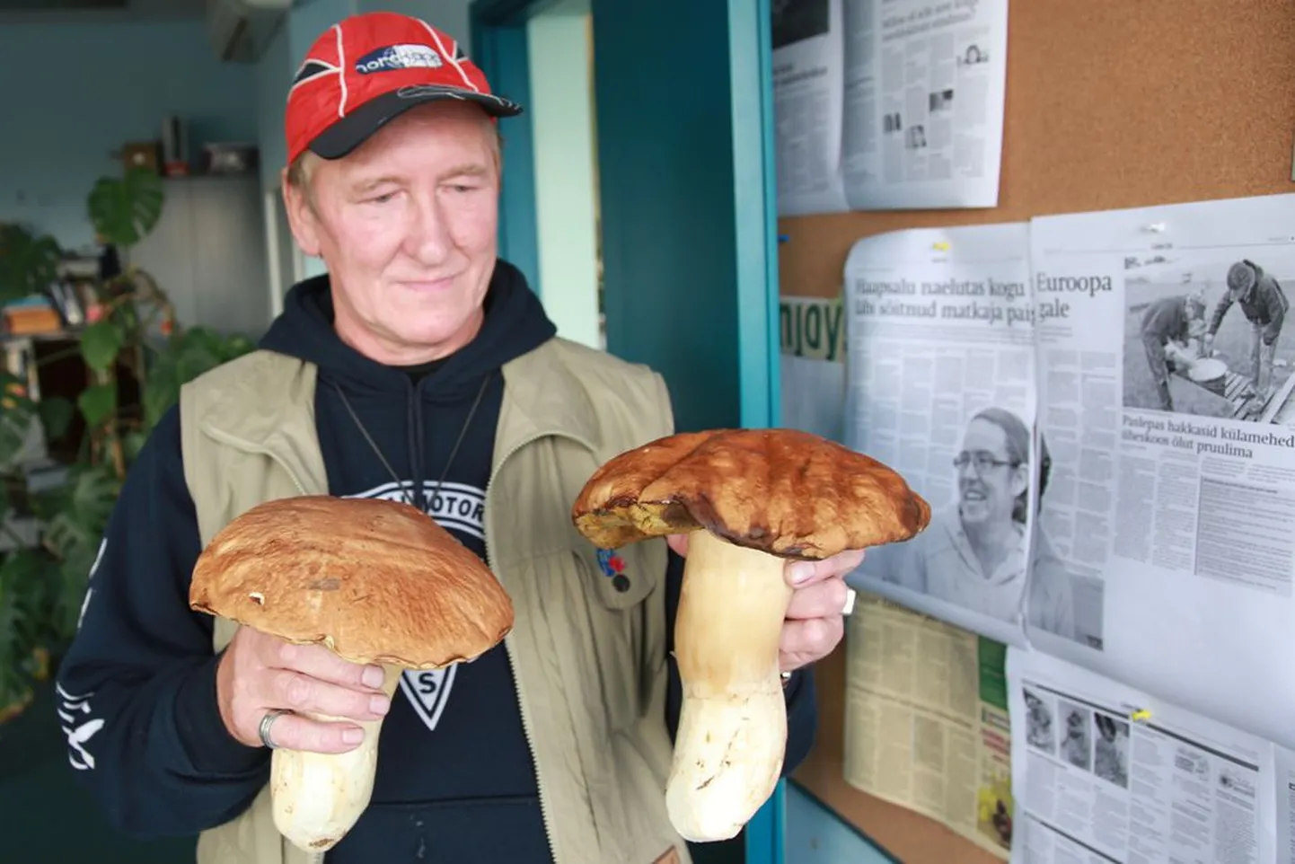 Арви Пукк и грибы.