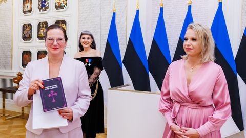 VIOLENCE HAS AN ADDRESS | Six years on, Mikk Pärnitsa’s pink dress appears to have made a difference