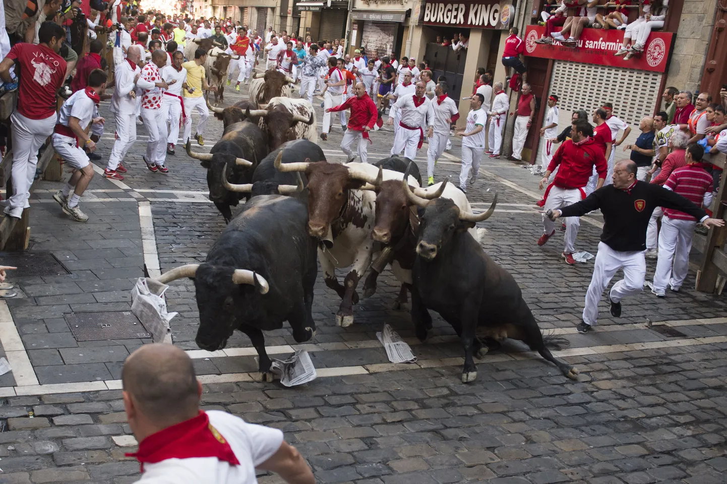 Pamplona härjajooksu festival
