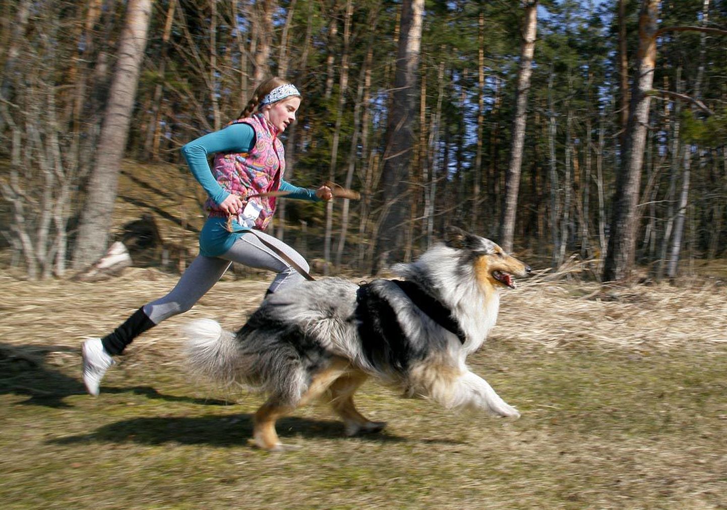 Rannametsa luitejooksul saab lisaks põhi- ja lastejooksudele ning kepikõndimisele mõõtu võtta ka koerte krossil. Arhiififoto.