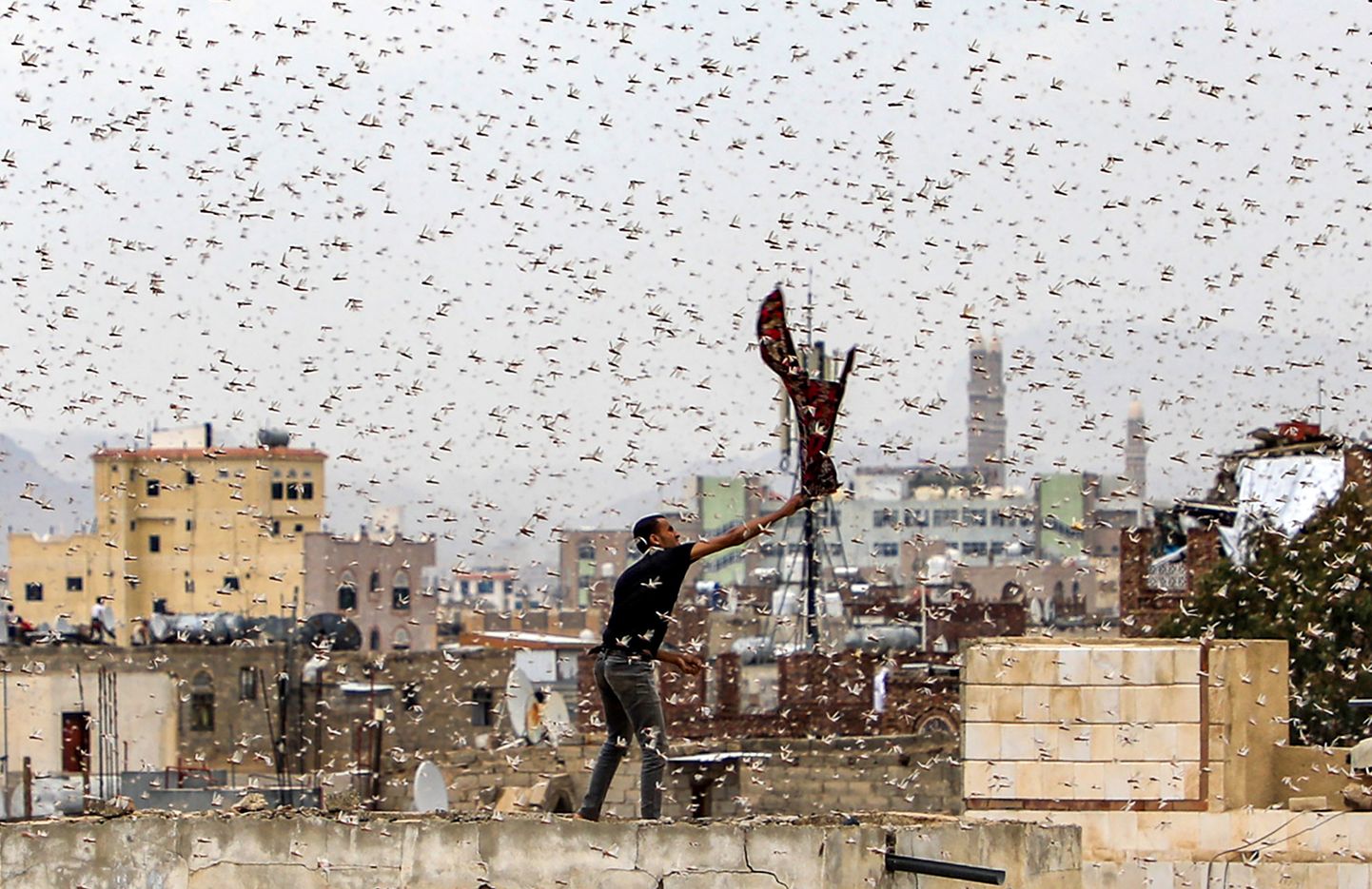 Rändtirtsud Jeemeni pealinnas Sanaas.