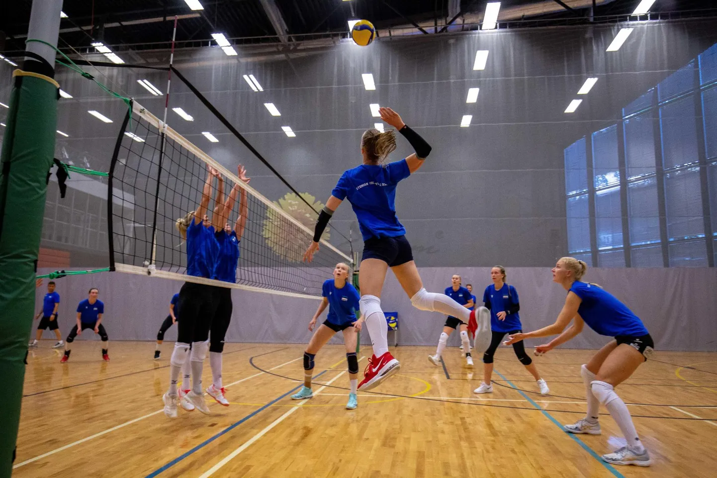 Võrkpall Paides