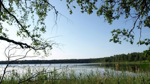 Loodusrekordid: Eesti saarerikkaim järv asub looduskaitsealal