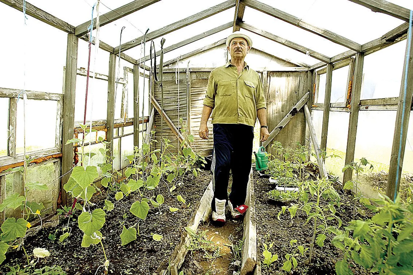 Kirglik aiamaapidaja Vadim Andrusenko (68) on Hiinalinnas elanud 46 aastat. Siin pole häda midagi, kinnitab ta.
