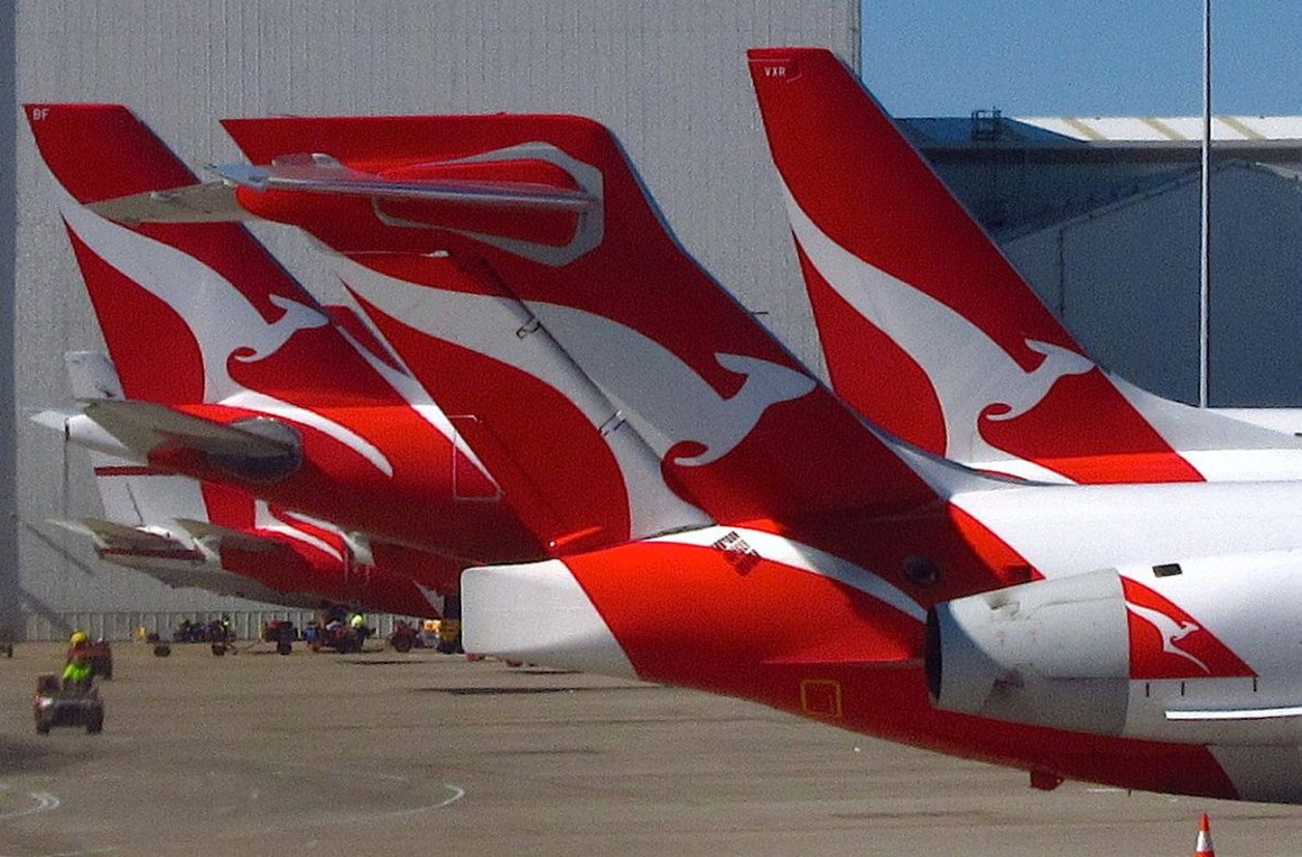 Australia's largest airline Qantas has grounded almost all international flights at least until October.