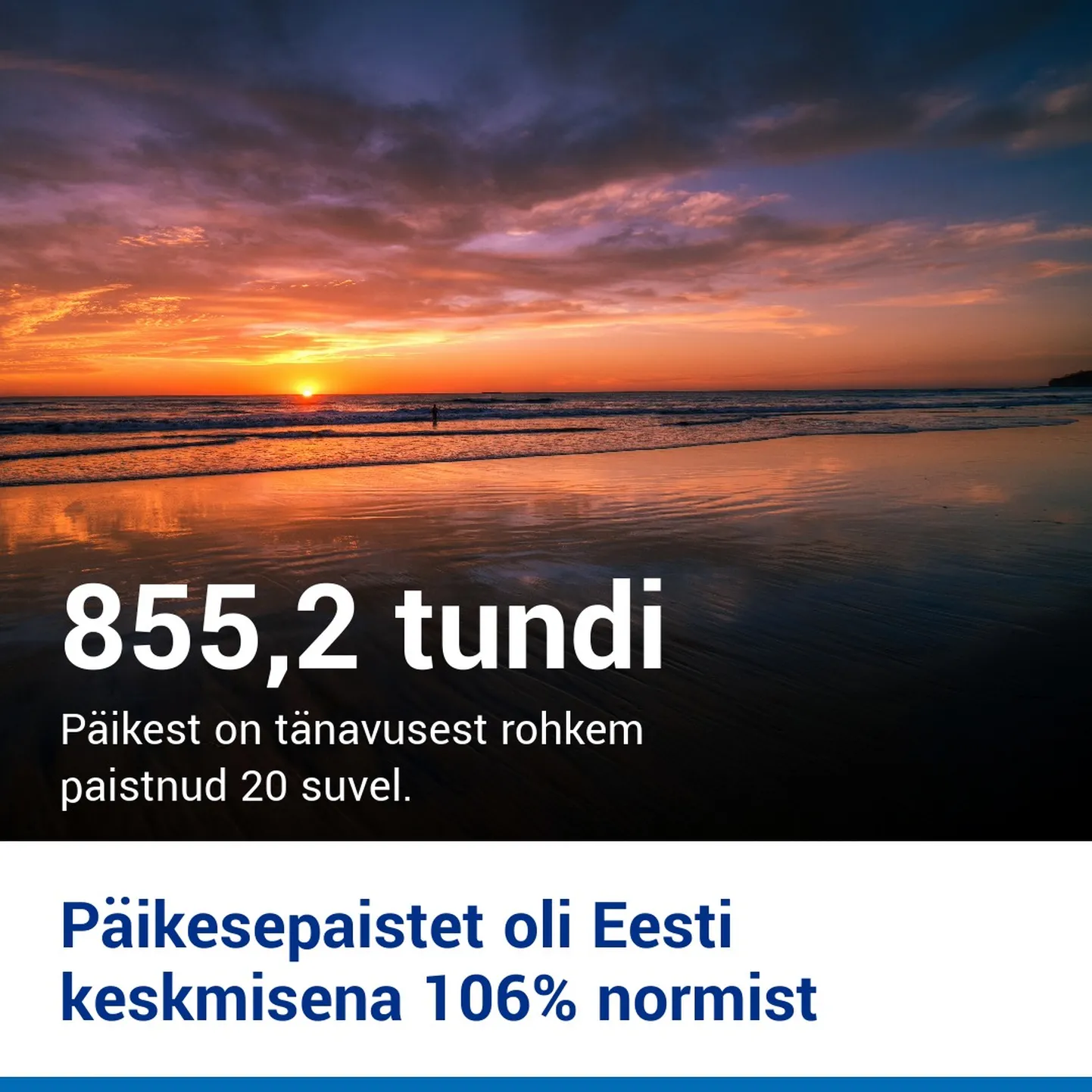 Artikli foto