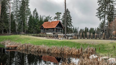В Южной Эстонии ждет покупателя уникальный, построенный вручную бревенчатый дом