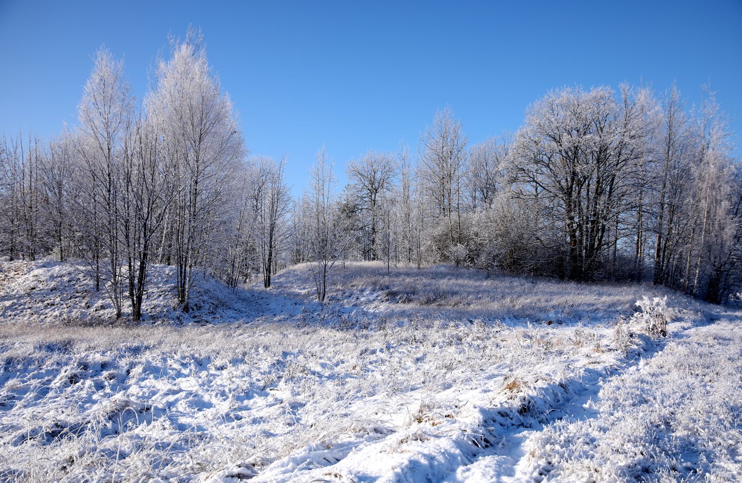 Lauku ainava ziemā. Ilustratīvs attēls.