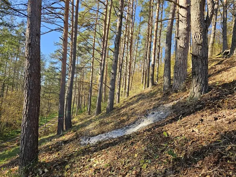Raksta foto