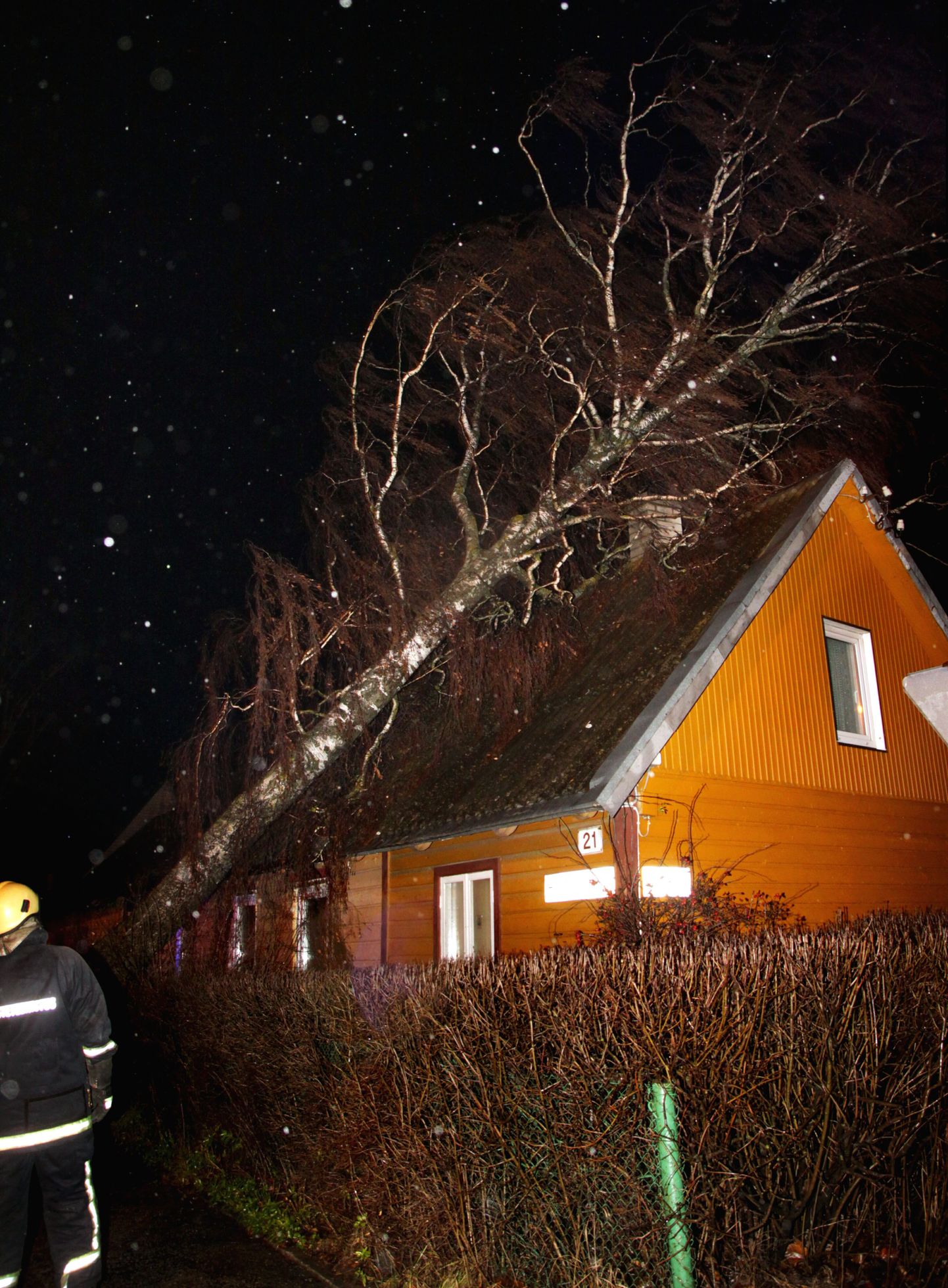 Vana-Pärnus kukkus suur kask majale.