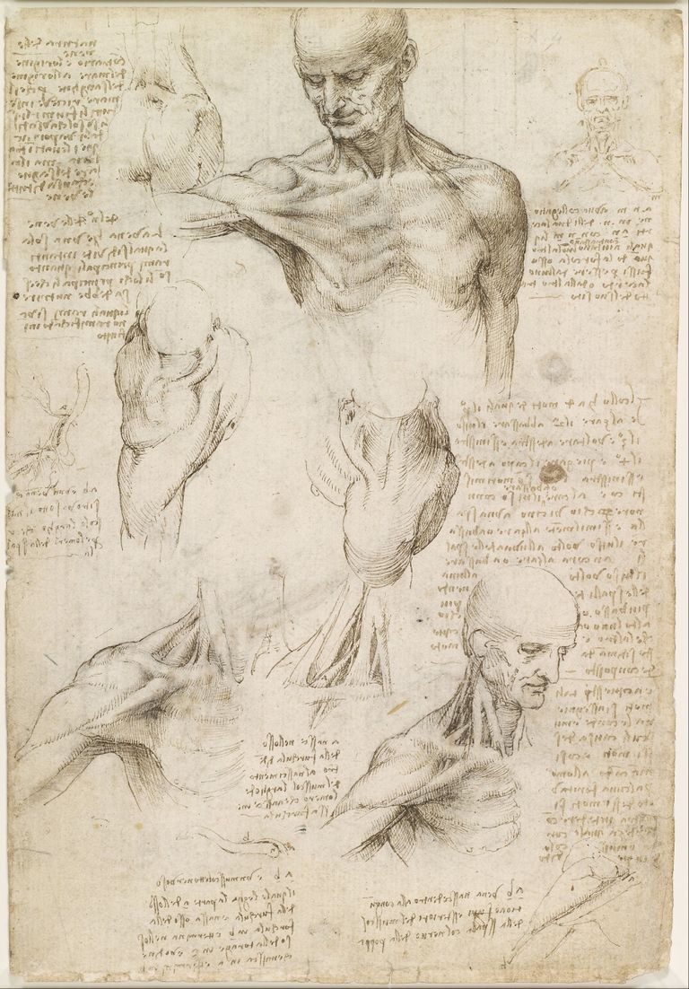 Leonardo da Vinci joonistused.