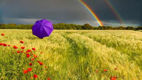 Latvijā izsludināti brīdinājumi par stipru lietu un pērkona negaisu