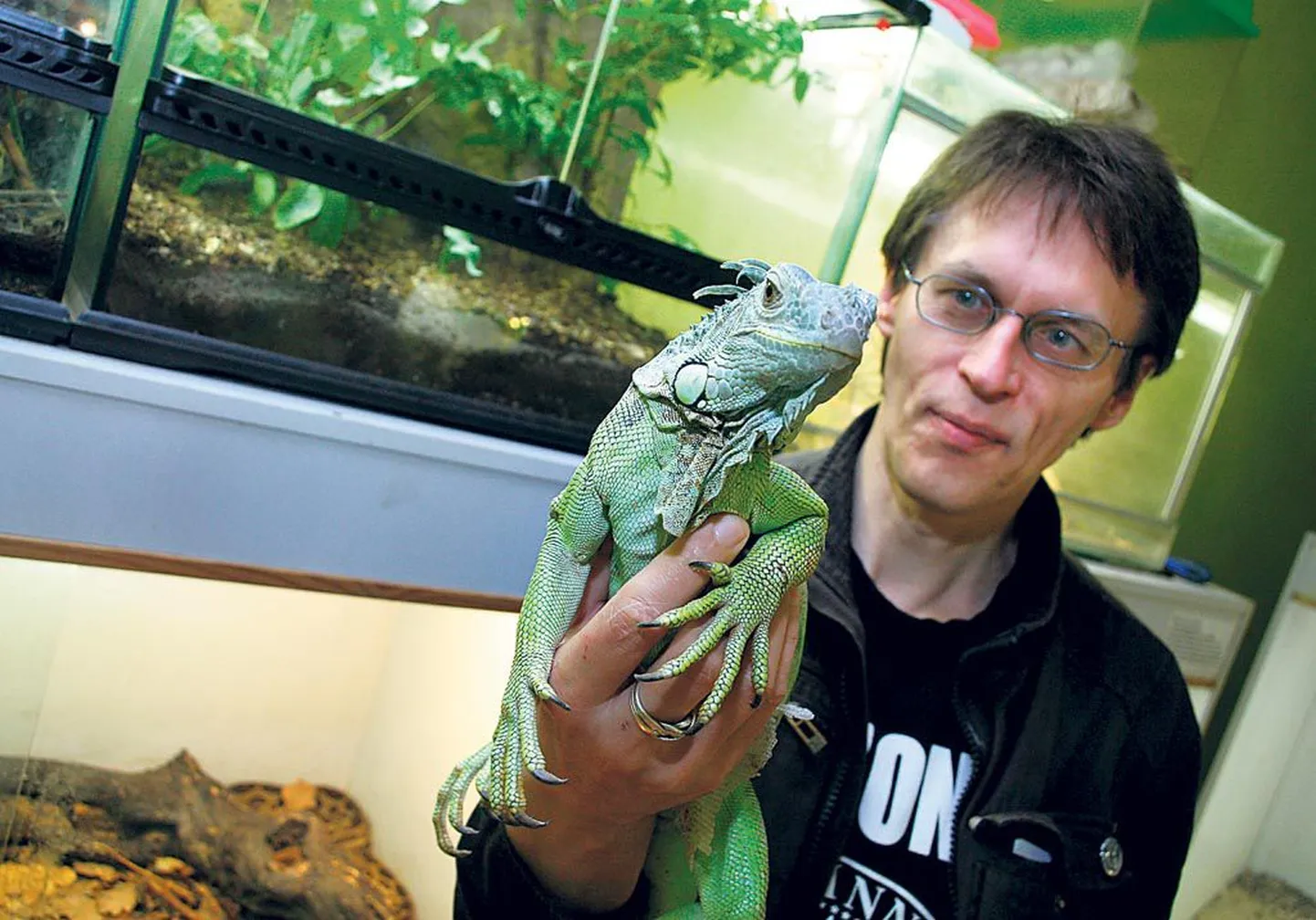 Iguaan Feliks juhataja Peeter Põldsami käes on minizoo kõige sõbralikum elanik.