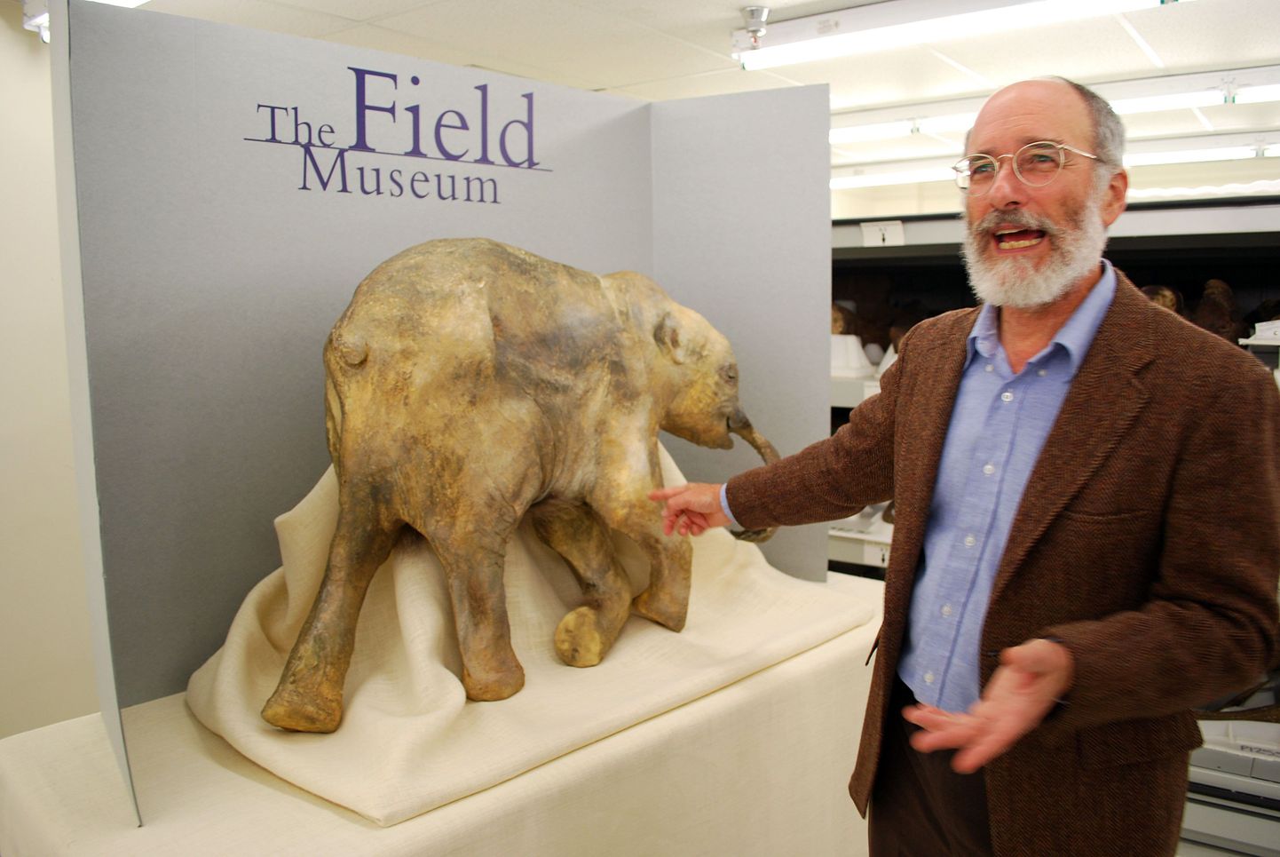 Chicago  The Field Museum esindaja Daniel Fisher mammut Ljuba koopiaga