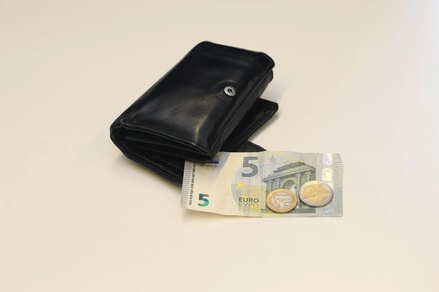 Keskpank hakkab toetama majandusteemasid tutvustavaid projekte.