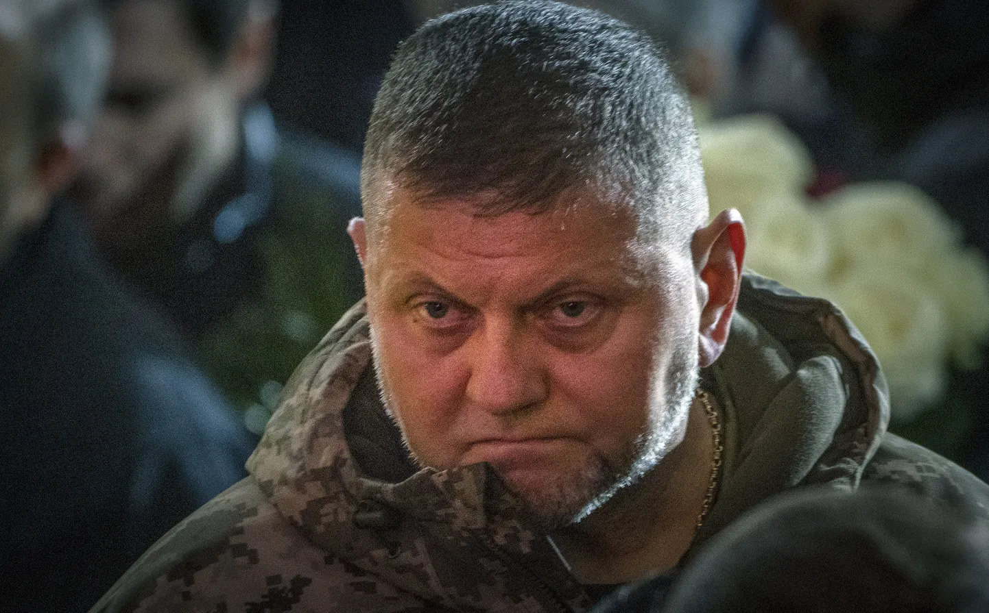Посол Украины в Соединенном Королевстве и бывший главнокомандующий украинской армией Валерий Залужный