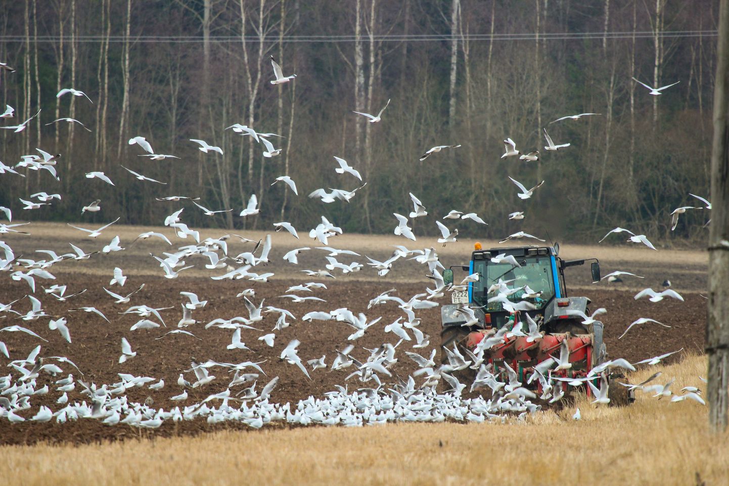 Põllumajandusuuringute Keskuse 2020. aasta kogumiku andmetel on Eestis 10 aastaga erinevate pestitsiidide arv ühe põllumullaproovi kohta kasvanud 0,61-st 7-ni.