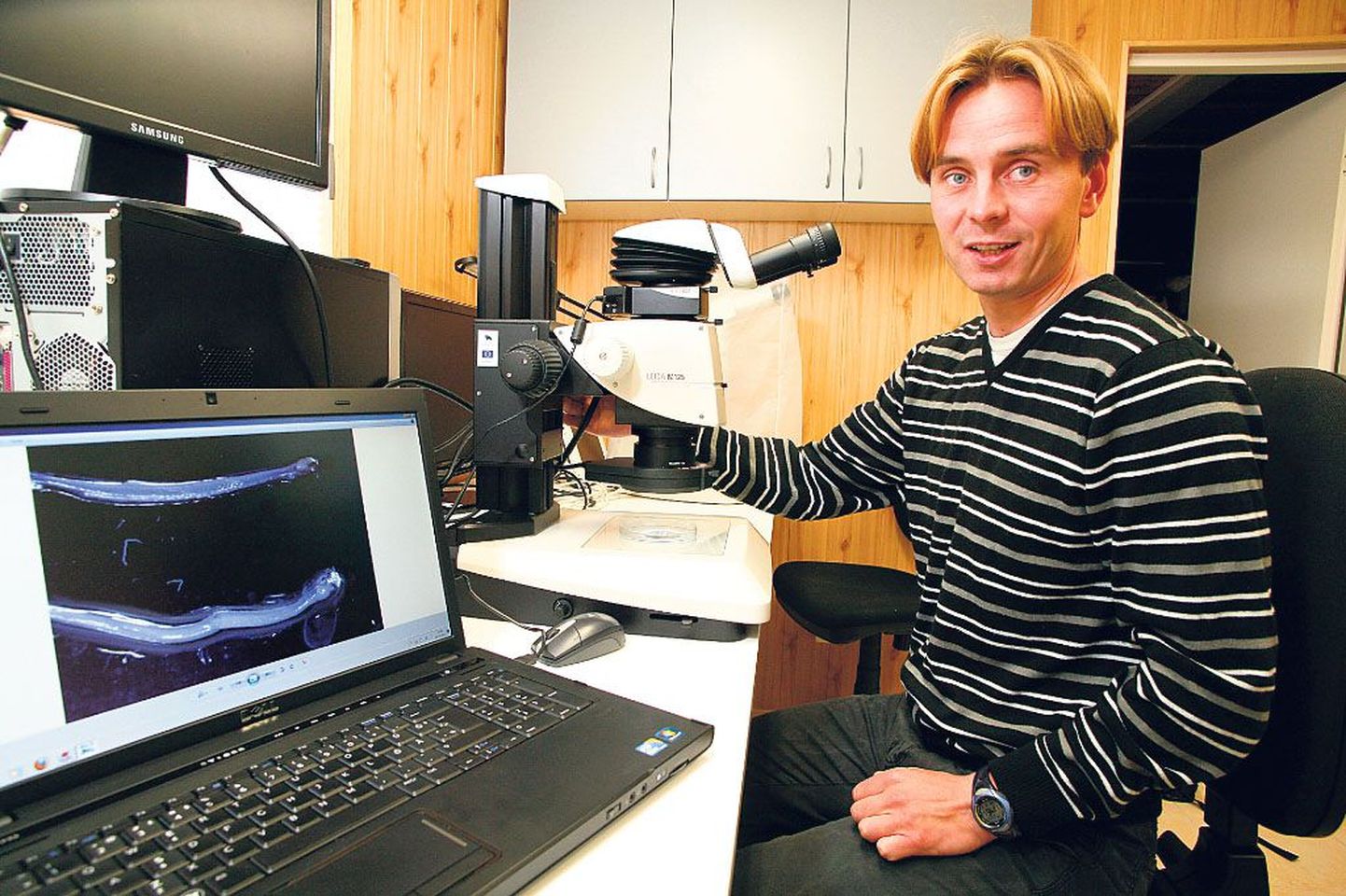 Tartu ülikooli Eesti mereinstituudi doktorandi Timo Arula arvutiekraanil on suurendus räimevastsetest.